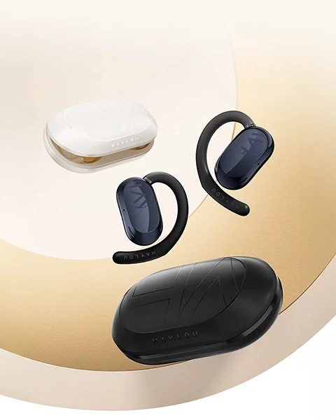 Haylou Earhook 1
