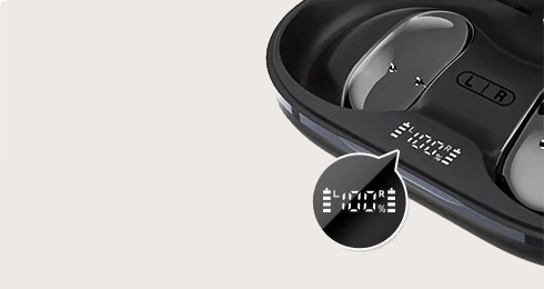 Haylou Earhook 1 Smart LED Display