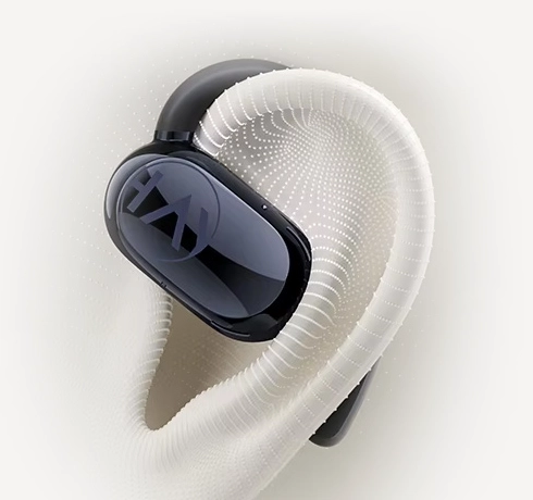 Haylou Earhook 1 Healthy