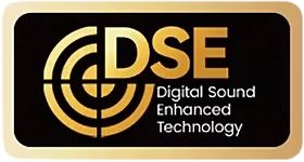DSE Logo