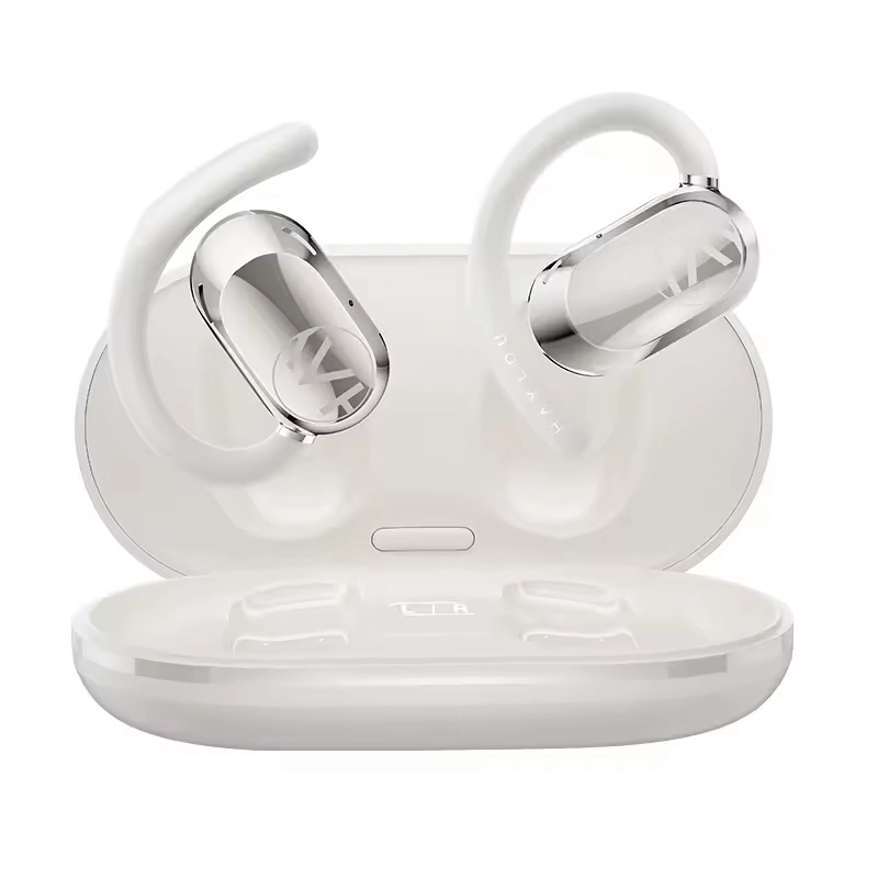 White HAYLOU Earhook 1 with charging case