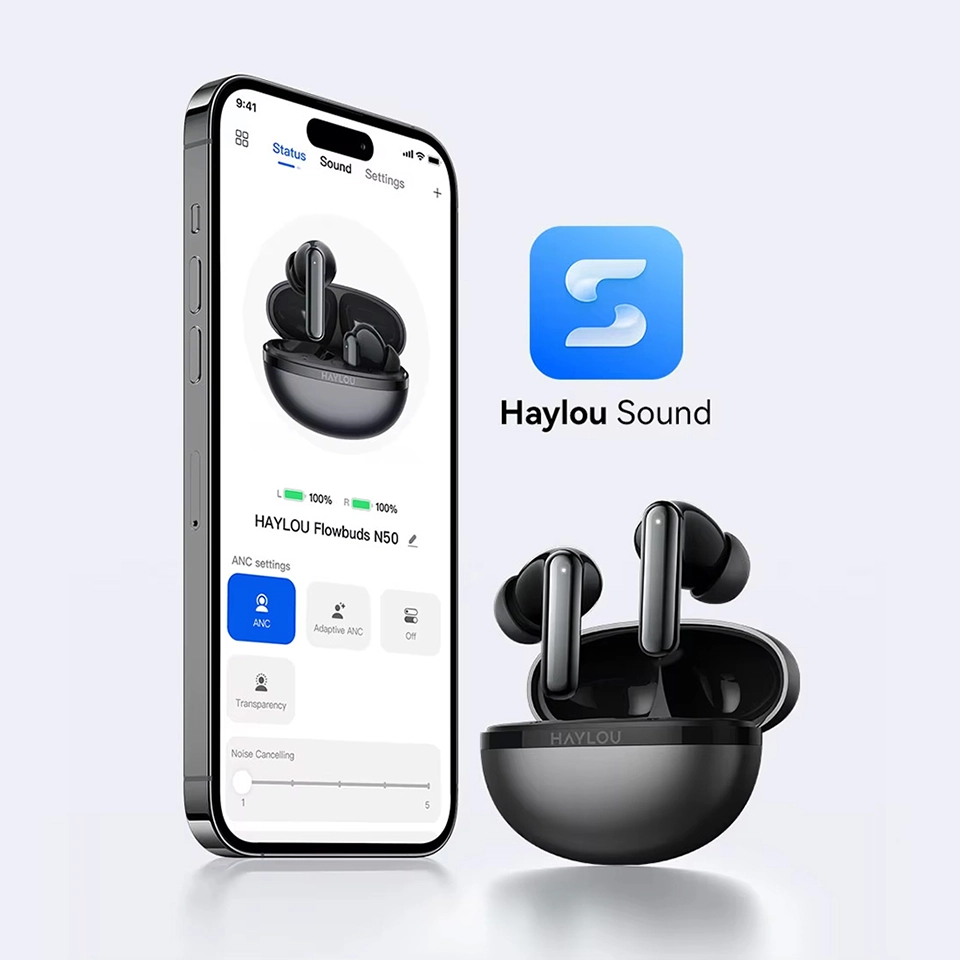 HAYLOU Flowbuds N50 Haylou Sound app control