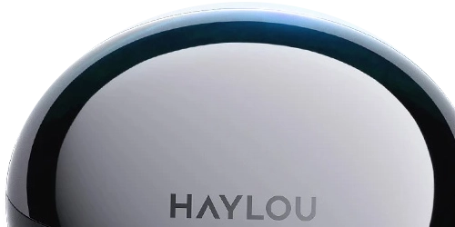 HAYLOU Flowbuds N55 glossy charging case