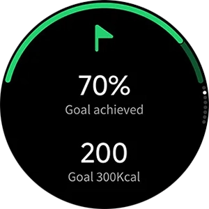 HAYLOU Solar Lite 2 activity goals